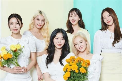 mld entertainment|momoland entertainment.